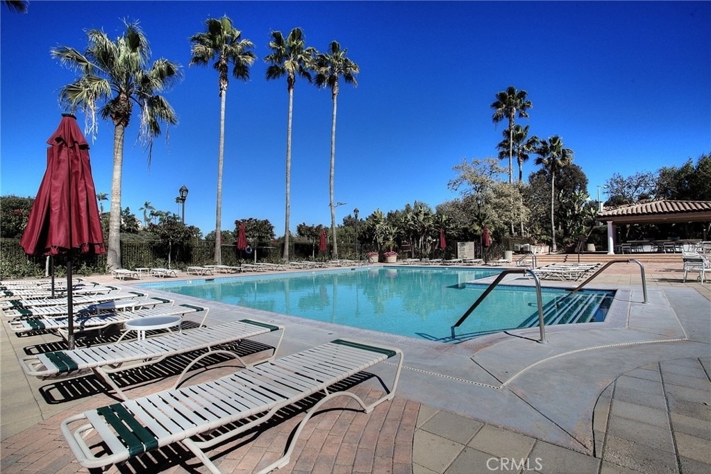 28511 Rancho Grande - Photo 4