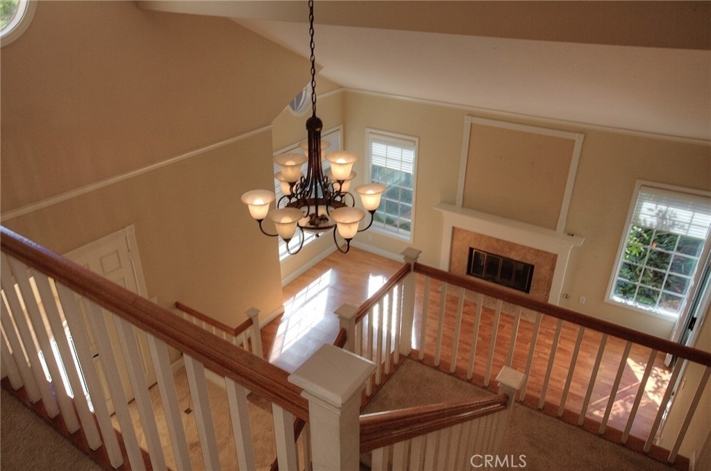 28511 Rancho Grande - Photo 23