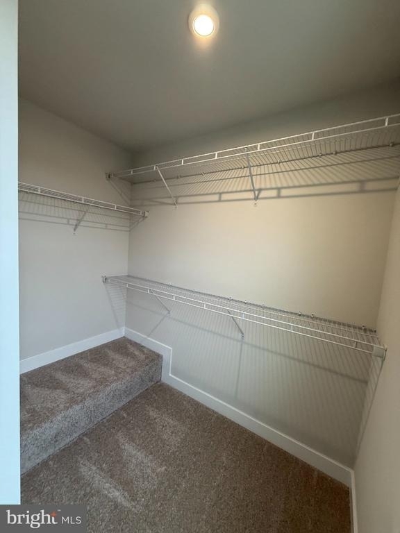 6932 Braxton Springs Way - Photo 15