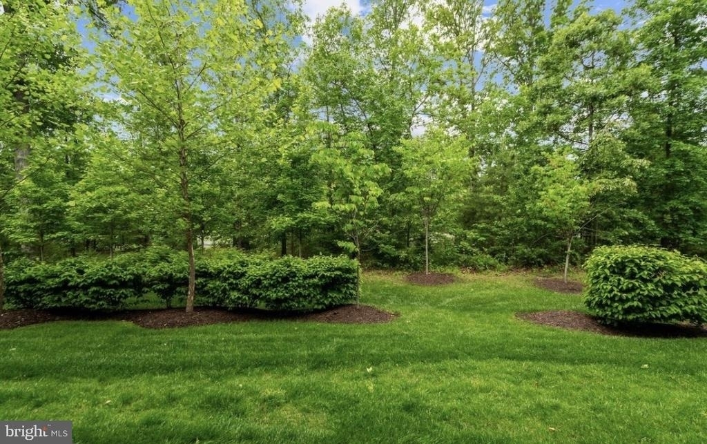 23255 Milltown Knoll Square - Photo 2