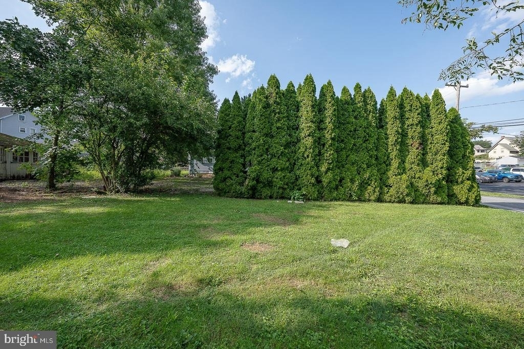 107 W Circular Avenue - Photo 73