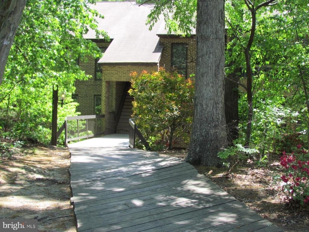 44691 White Oak Court - Photo 0