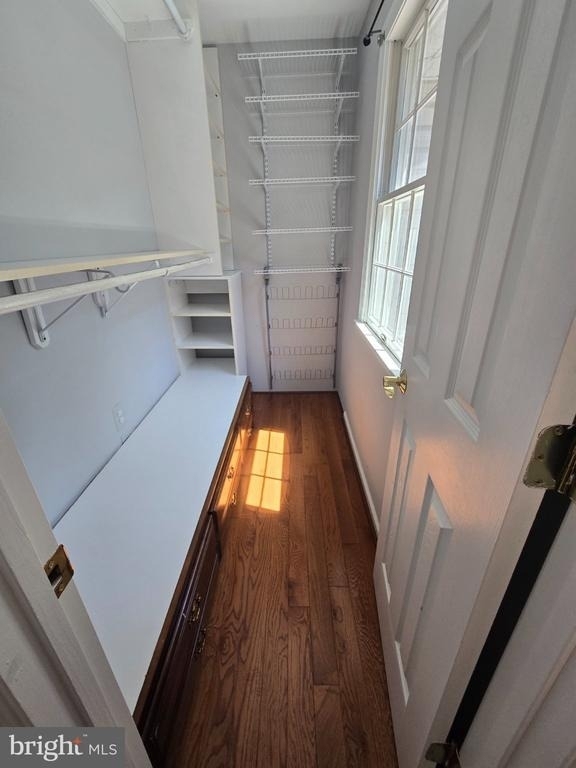 14004 Mount Eagle Lane - Photo 48