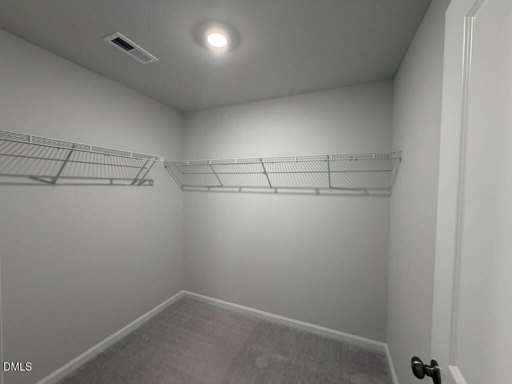 319 Aster Bloom Lane - Photo 21