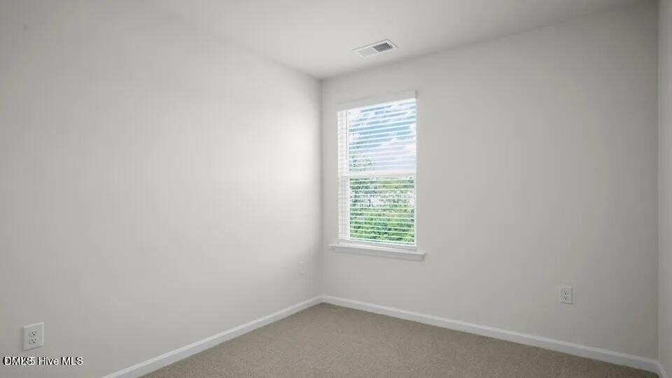 248 Otter Ldg Street - Photo 20