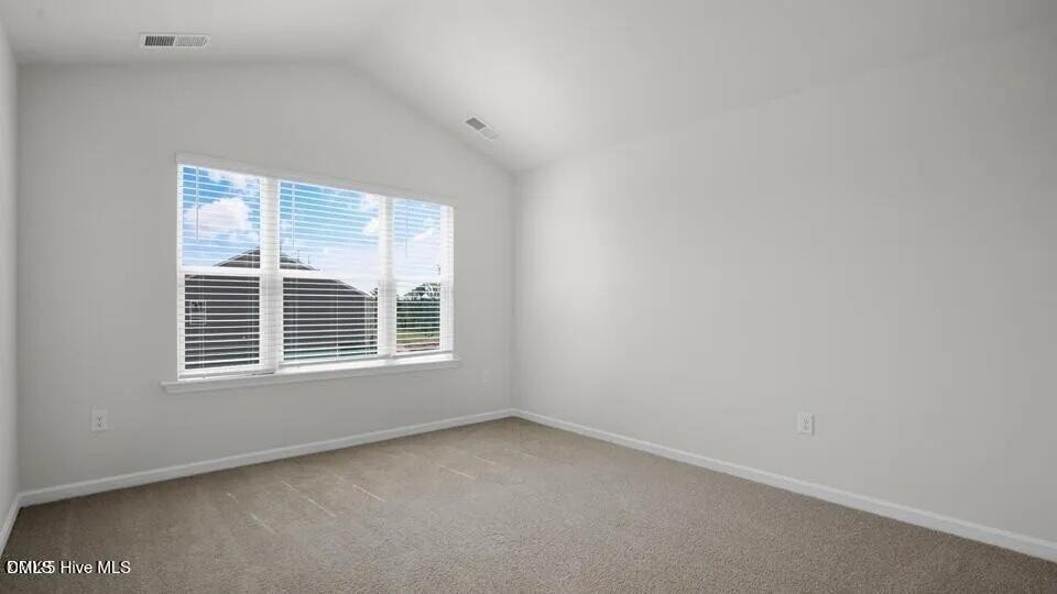 248 Otter Ldg Street - Photo 17