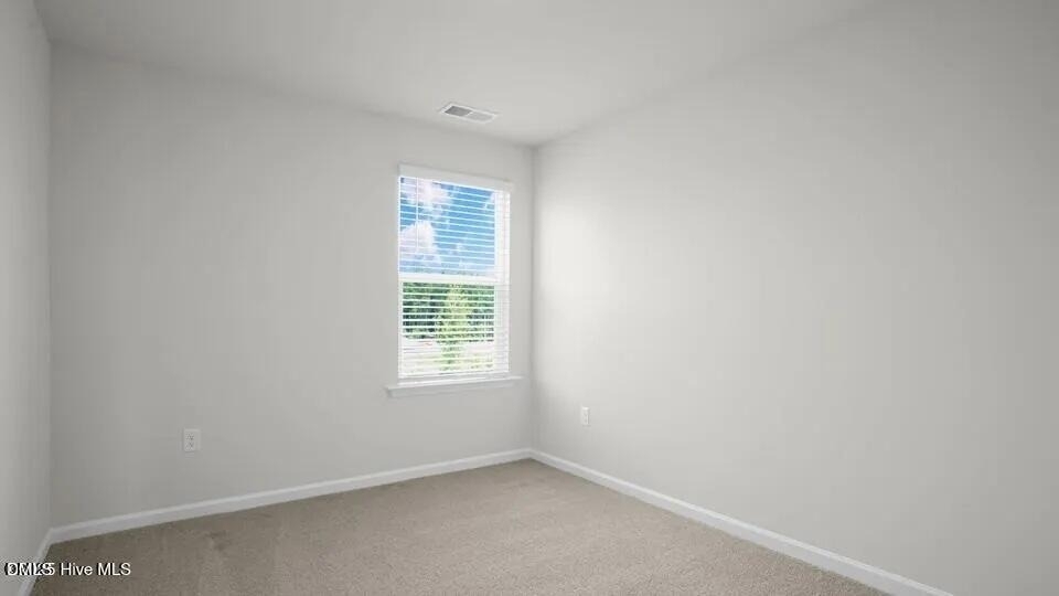 248 Otter Ldg Street - Photo 18