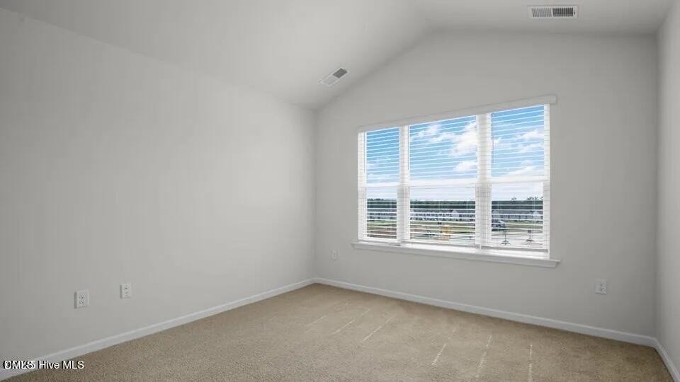 248 Otter Ldg Street - Photo 16