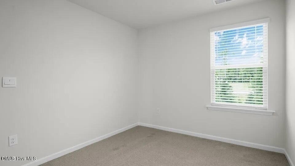 248 Otter Ldg Street - Photo 19
