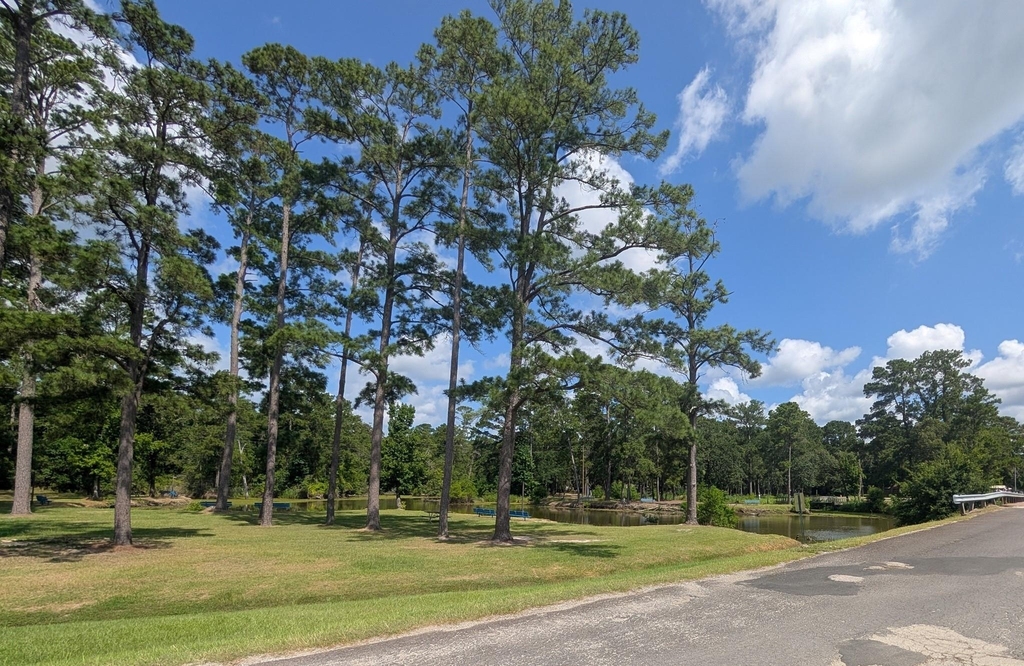 1274 Cardinal Lane - Photo 14