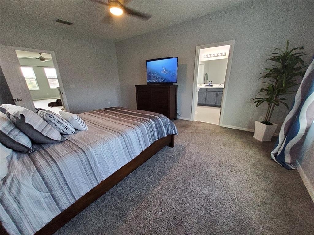 3813 San Isidro Circle - Photo 17