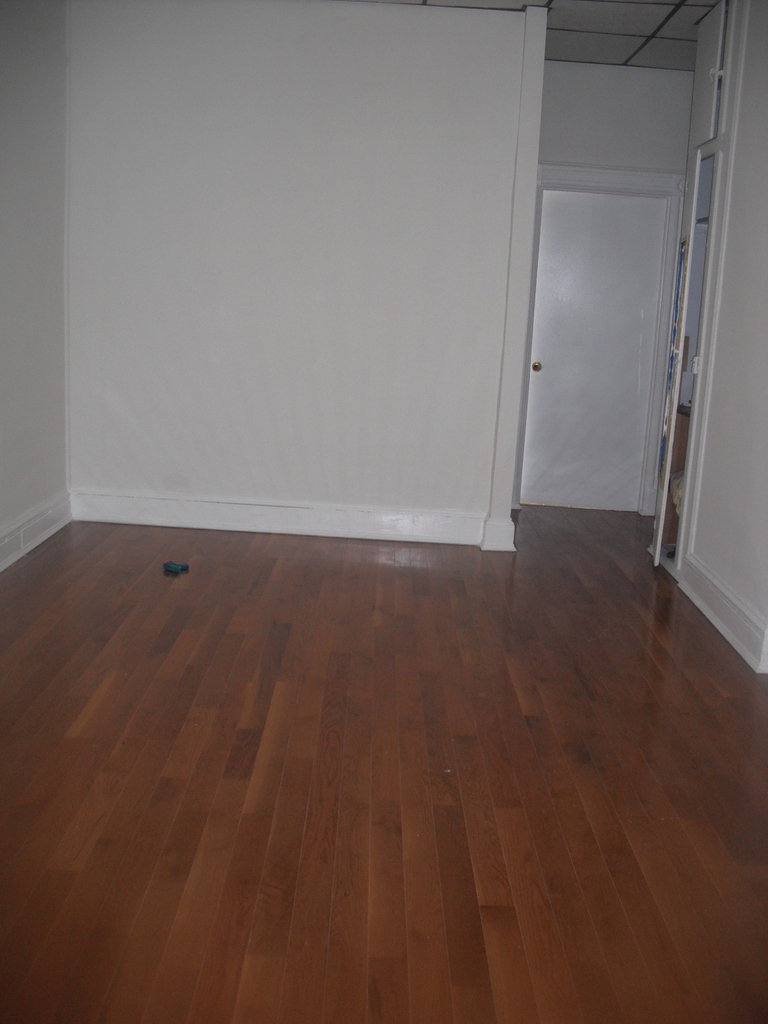 336 87th Street - Photo 3