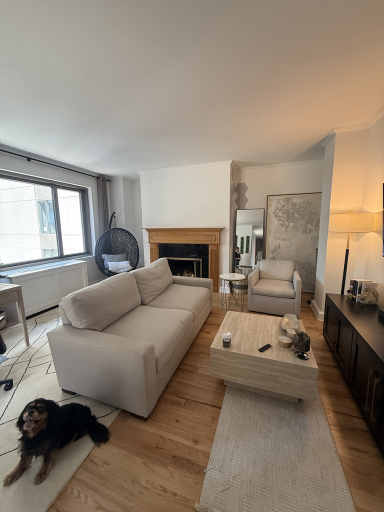 101 West 55th Street - Photo 0