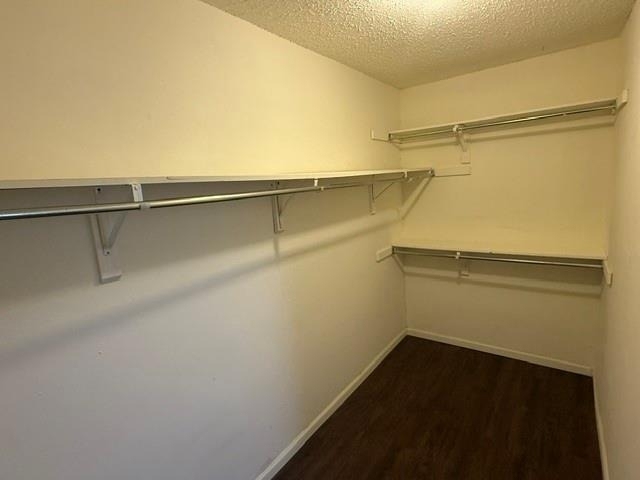 2211 Placid Drive - Photo 10