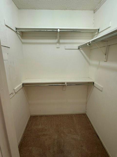 2211 Placid Drive - Photo 12