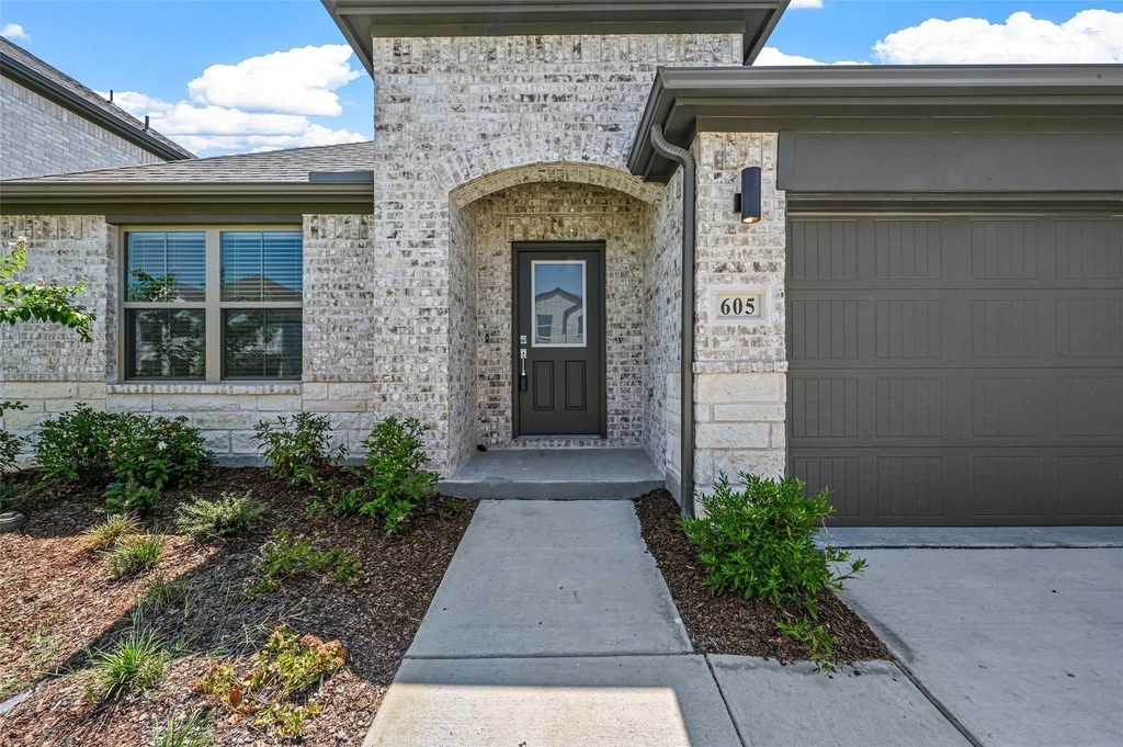 605 Wild Goose Lane - Photo 1