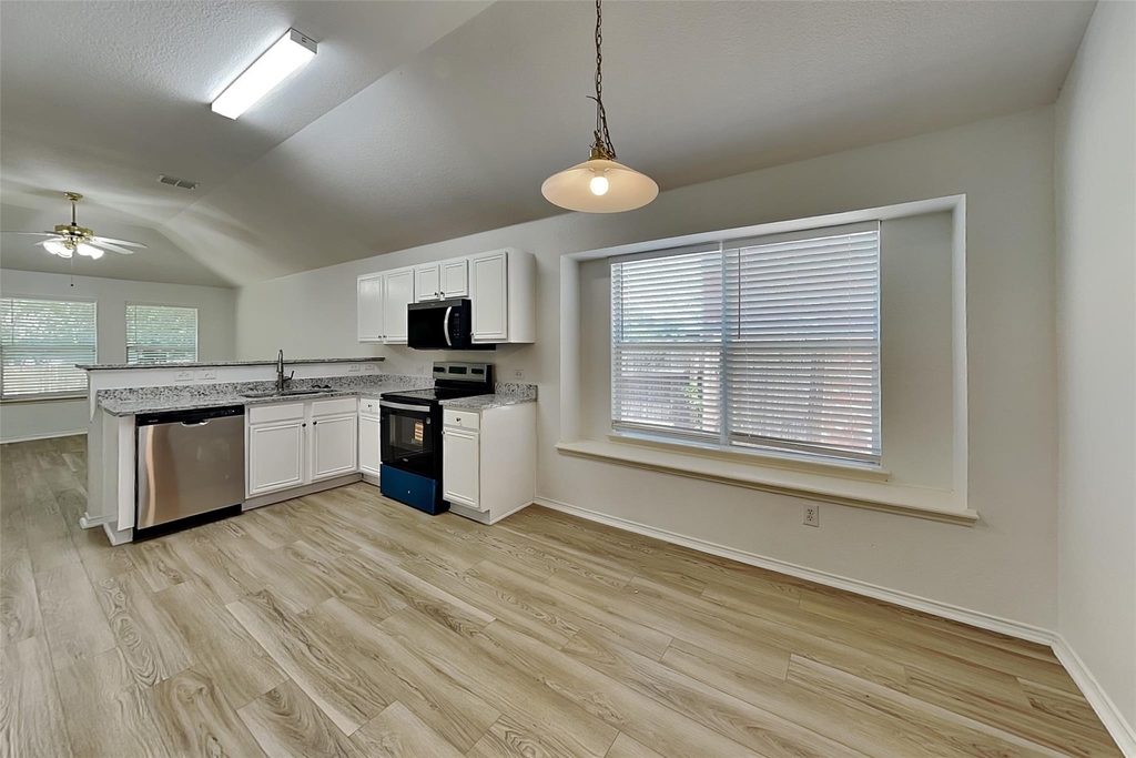 2729 Mountain Lion Drive - Photo 4