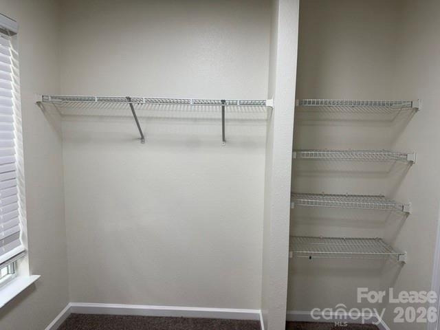8428 Panglemont Drive - Photo 8
