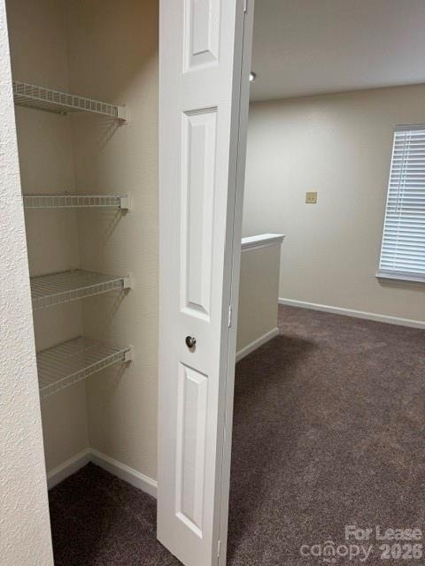 8428 Panglemont Drive - Photo 14