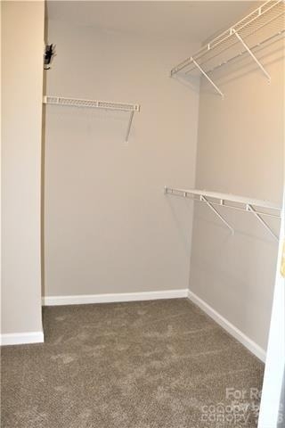 1218 Haden Drive - Photo 31