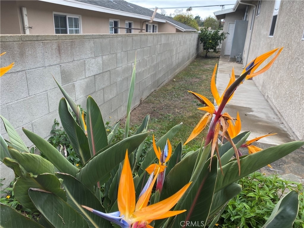 21622 Palos Verdes Blvd Boulevard - Photo 12