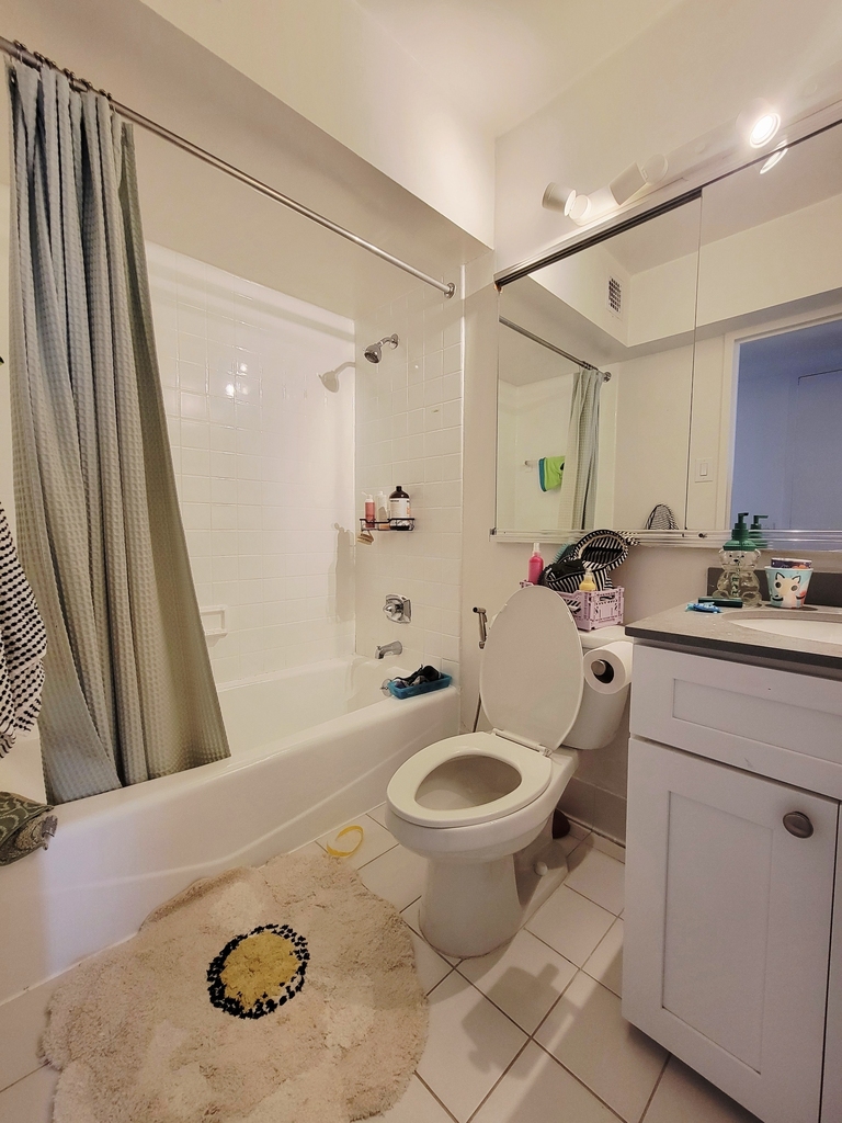 355 South End Avenue - Photo 8