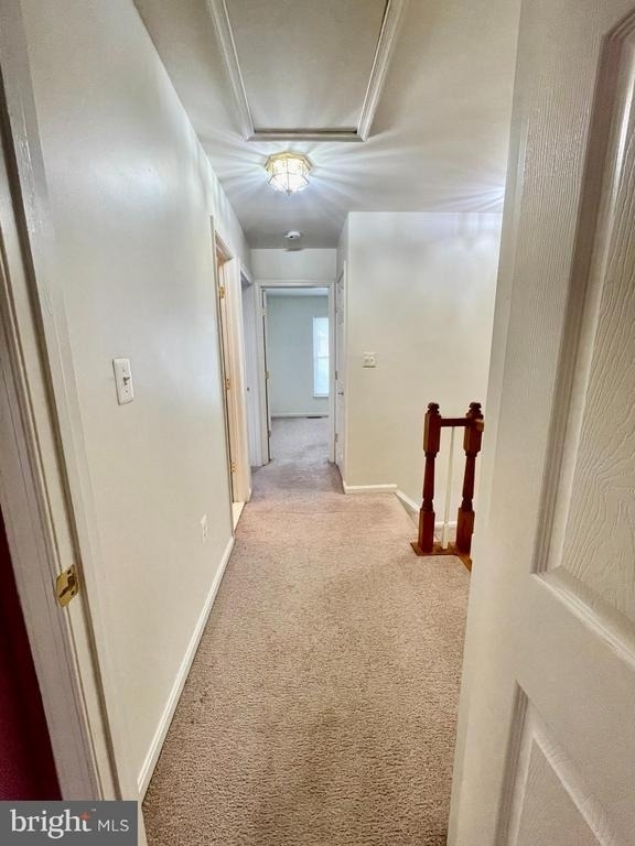15241 Barnabas Trail - Photo 2