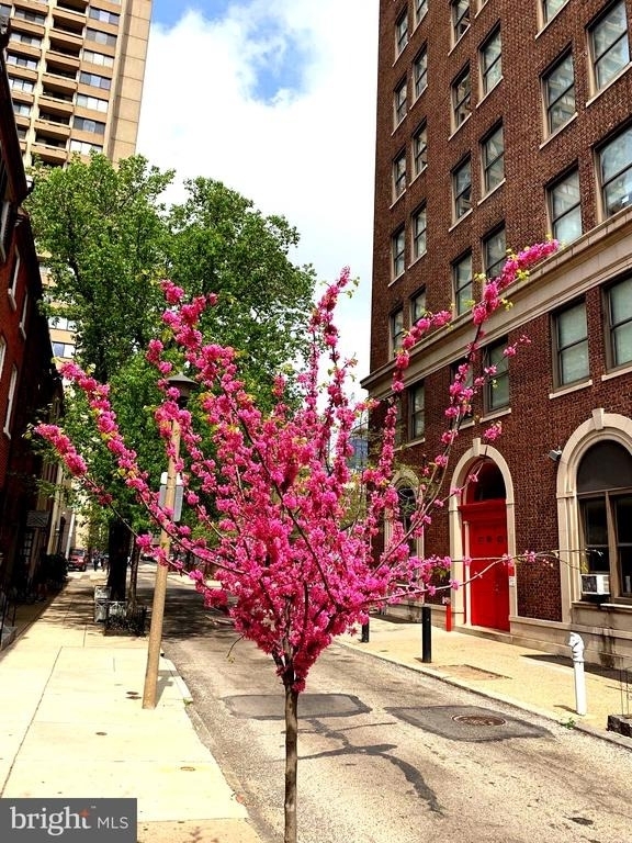 330 S Juniper Street - Photo 9