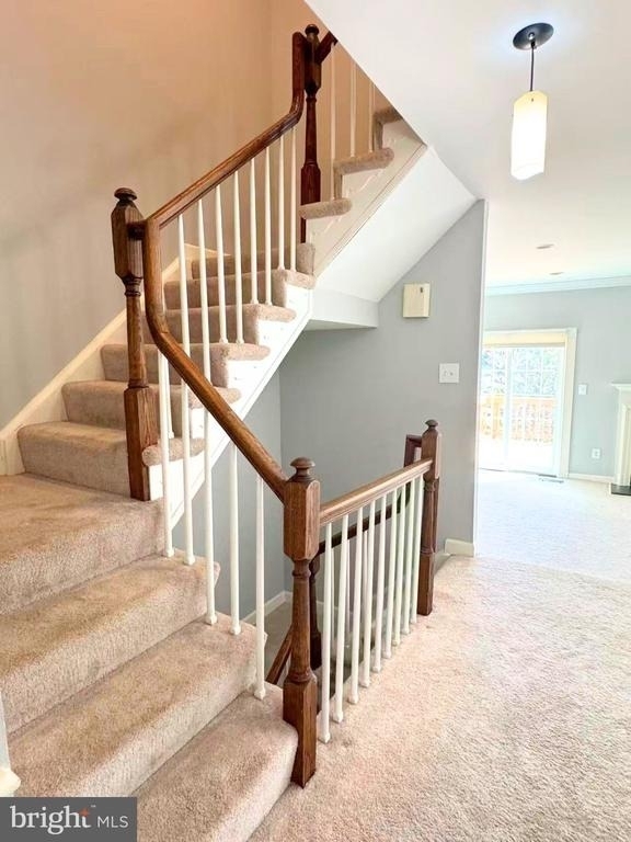 11045 Candlelight Lane - Photo 2