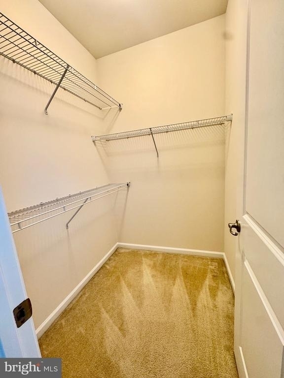 22342 Heron Neck Terrace - Photo 28