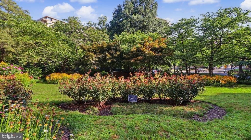 4000 Tunlaw Road Nw - Photo 19