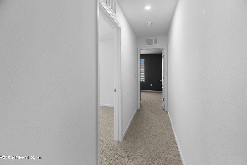46 Wading Ibis Road - Photo 6