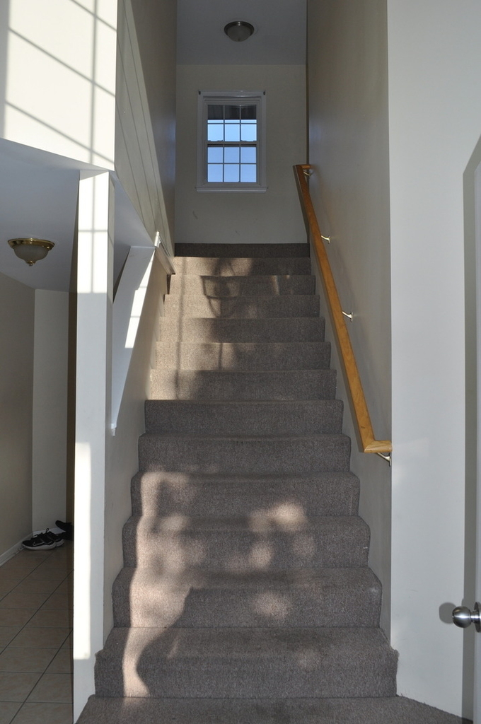 223 S Rush Street - Photo 1