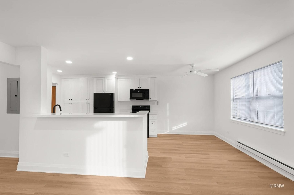 226 S Rush Street - Photo 11