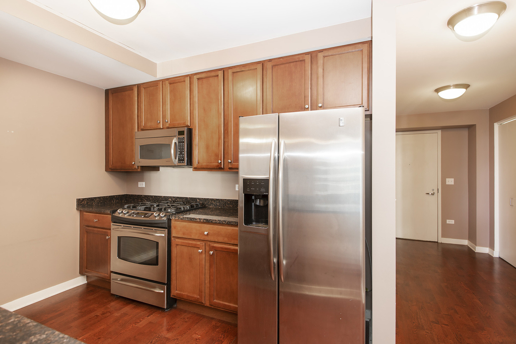 1160 S Michigan Avenue - Photo 3