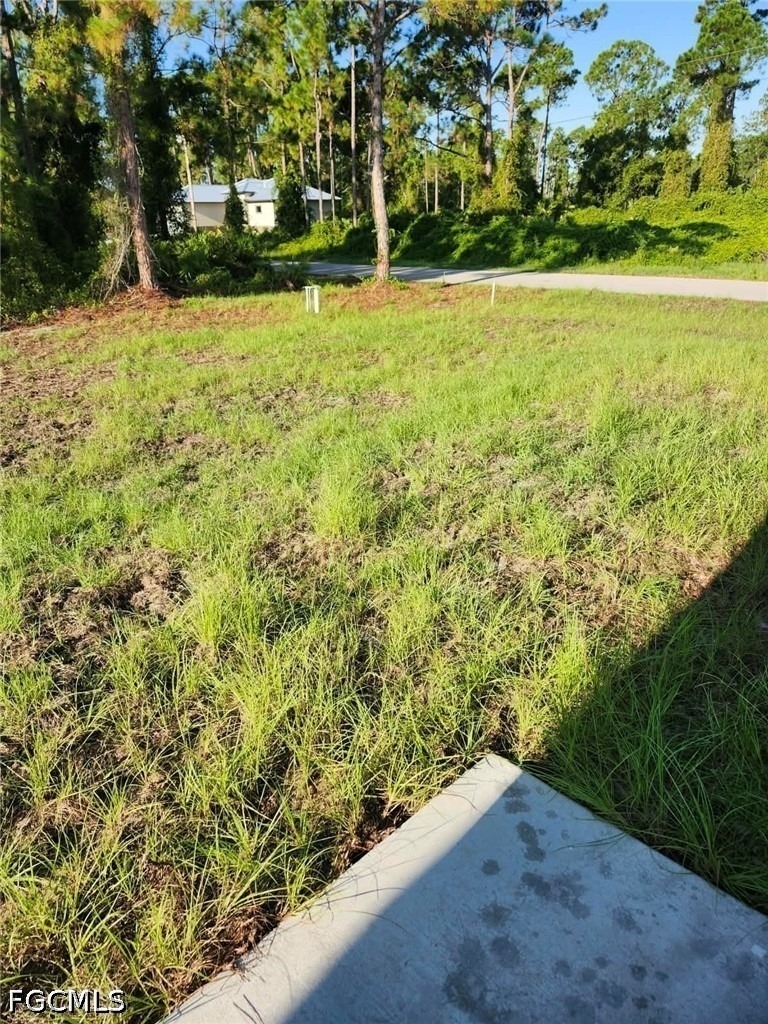 1104 Capri Street E - Photo 5