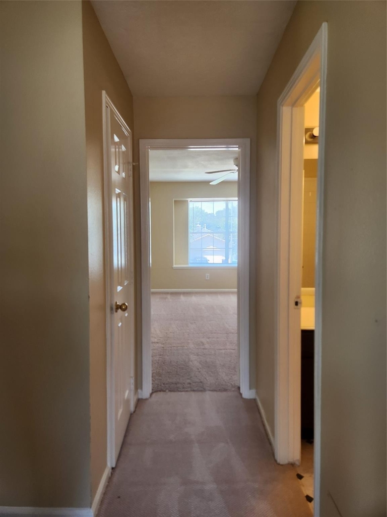 7631 Goudin Drive - Photo 7