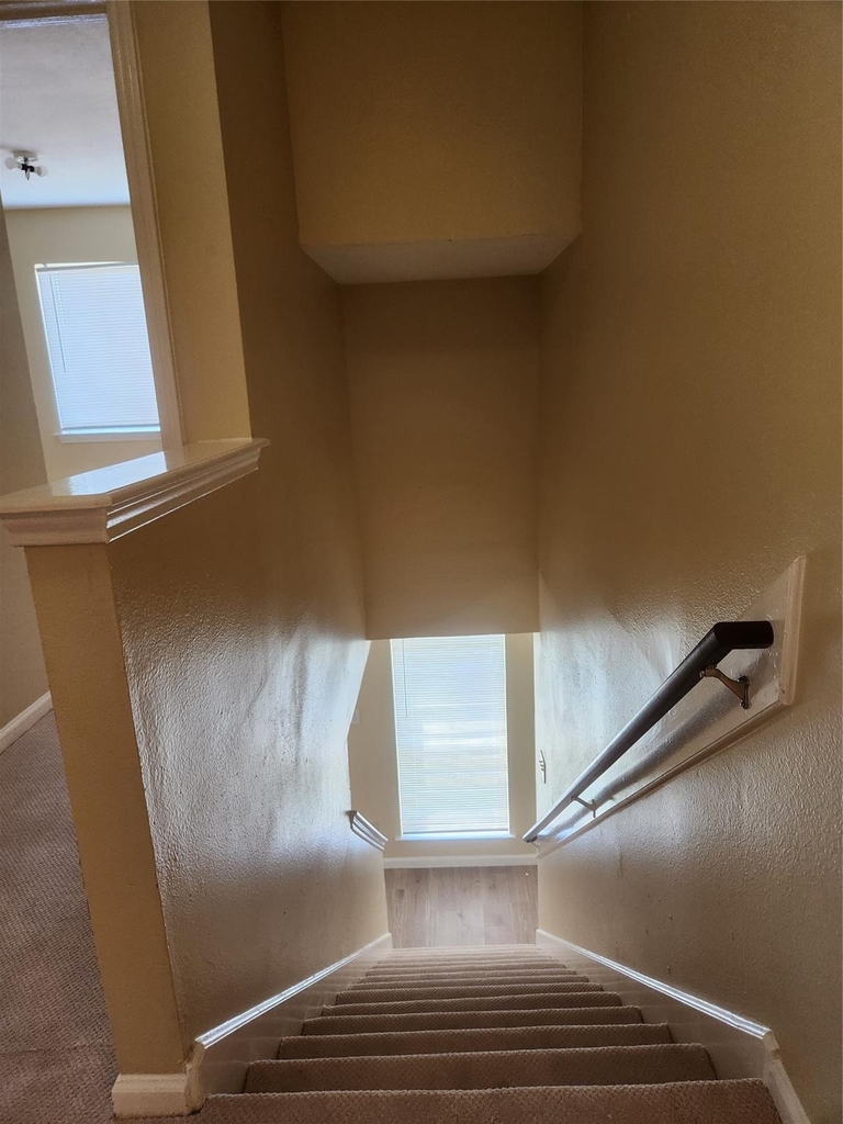 7631 Goudin Drive - Photo 18