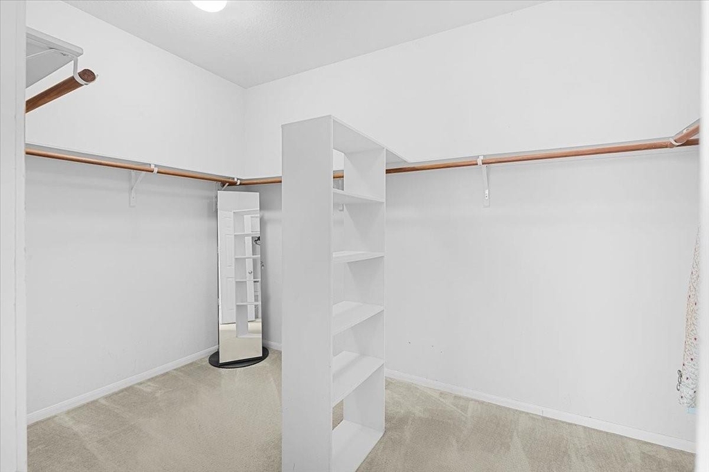 3307 Single Ridge Way Way - Photo 10