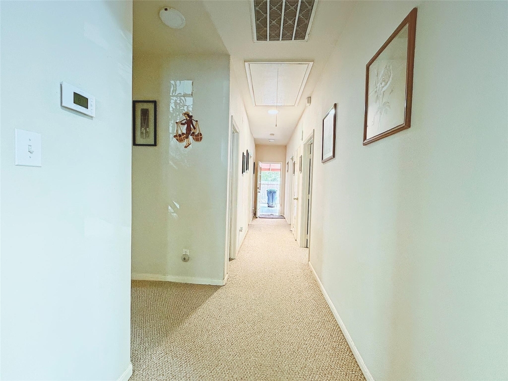 10111 San Ignacio - Photo 12