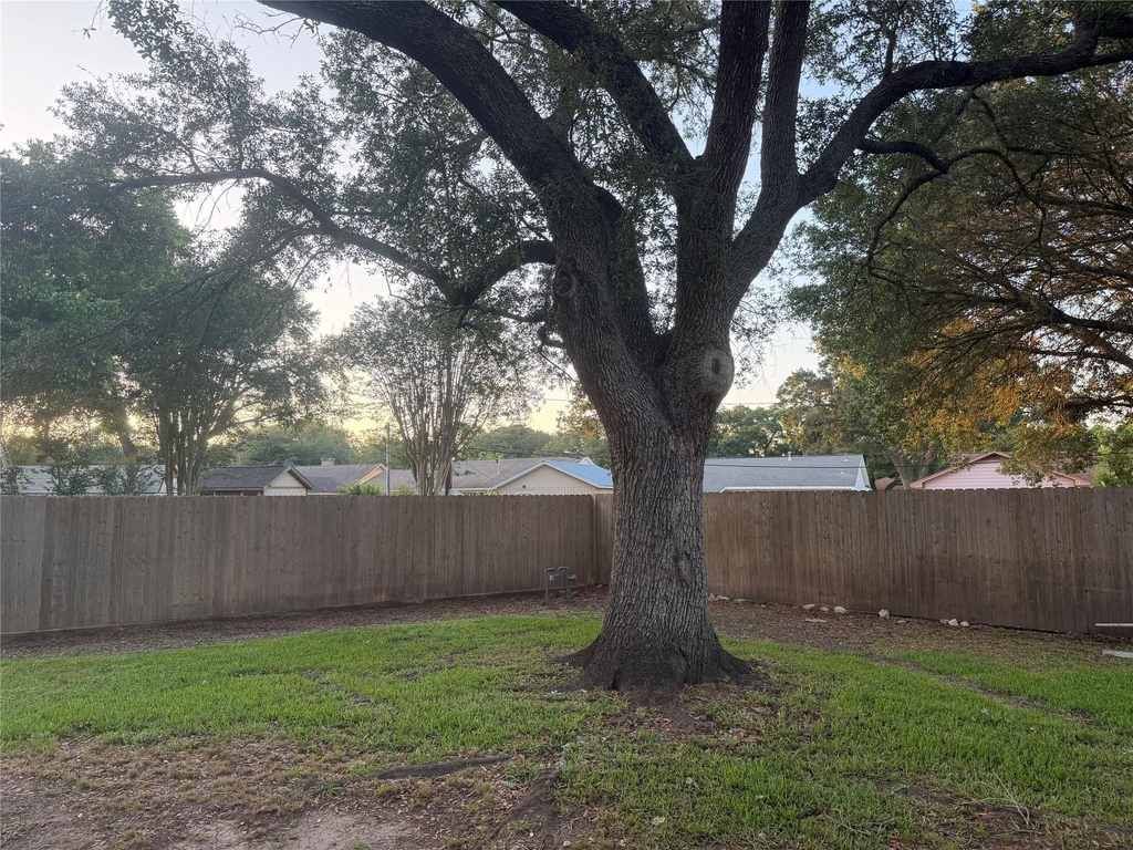 3815 Avenue R - Photo 12