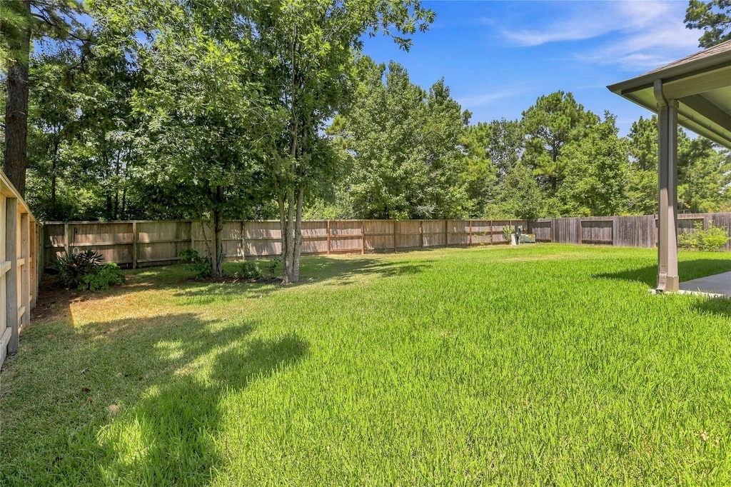 309 Lochvale Peak Court - Photo 24