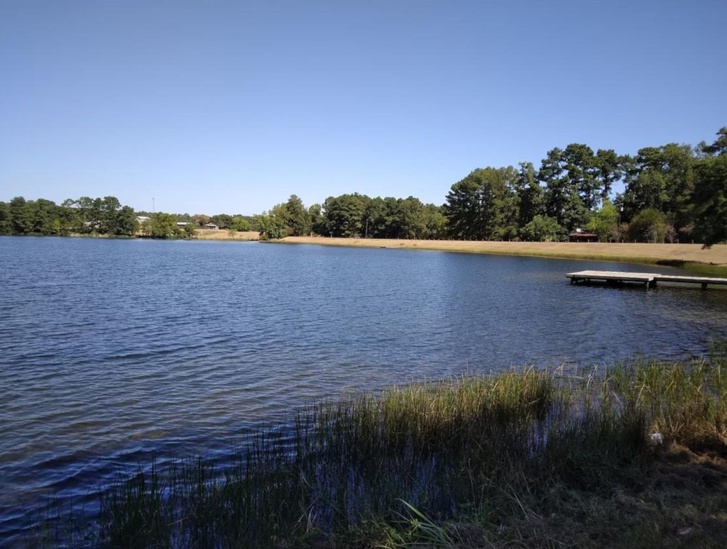 10731 Royal Terrell Drive - Photo 30