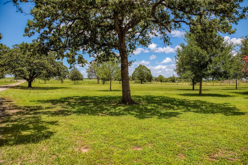 528 E Us Highway 290 Highway - Photo 38