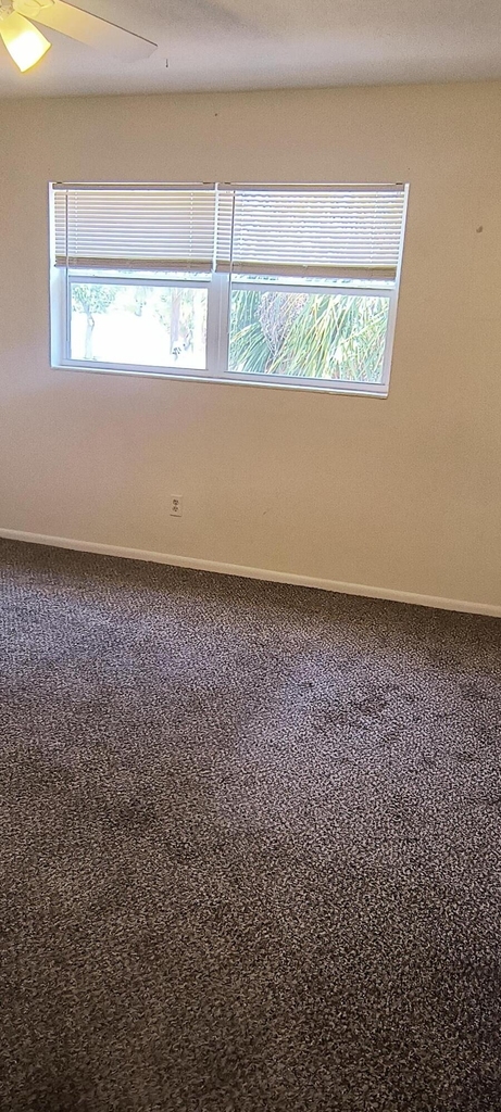 350 Woodland Avenue - Photo 11