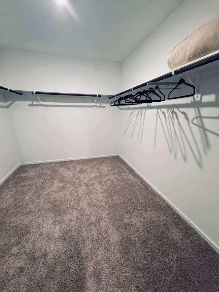15337 Dapple Bluff Lane - Photo 9