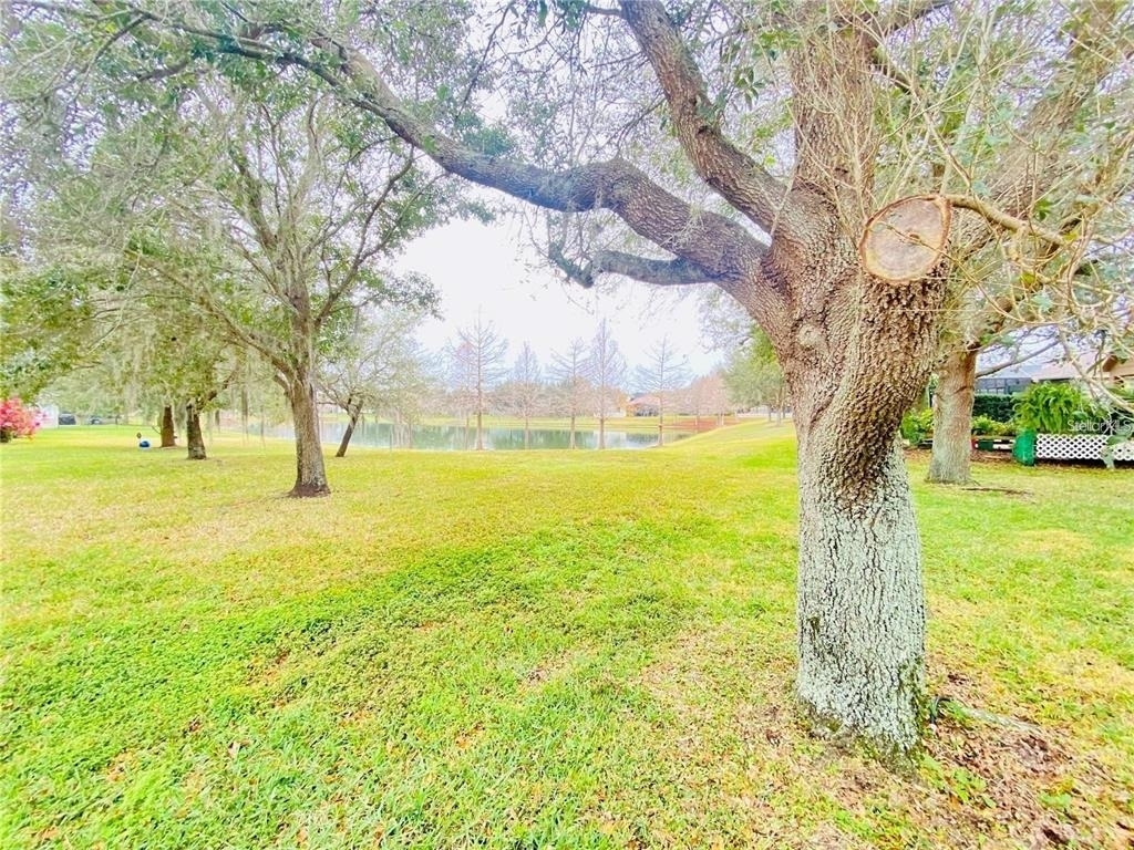 13920 Bluebird Pond Road - Photo 19