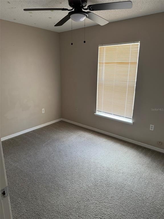 255 Lobelia Drive - Photo 26