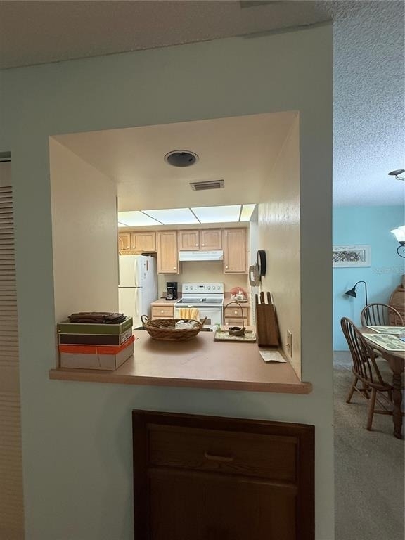 308 Palm Coast Pkwy - Photo 9