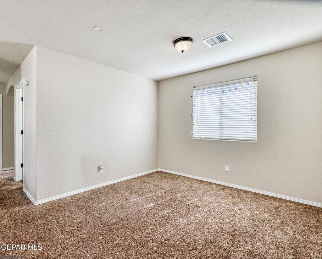6723 Boulder Canyon Lane - Photo 19